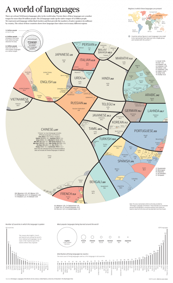 A World of Languages infographic